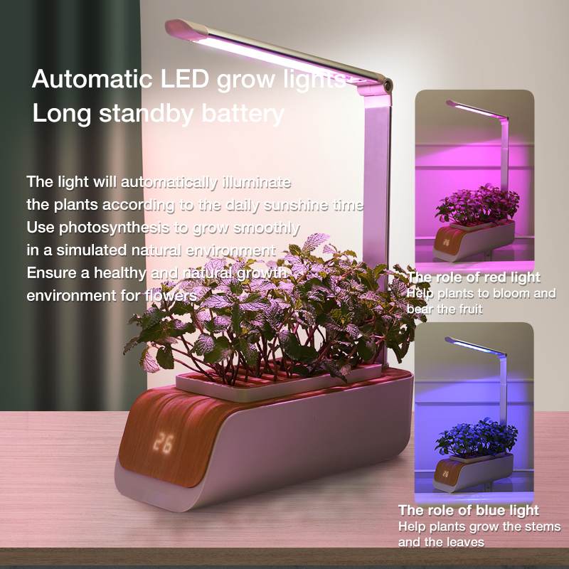 Lampe de Bureau Hydroponique : Jardinez en Intérieur avec Style - Noir