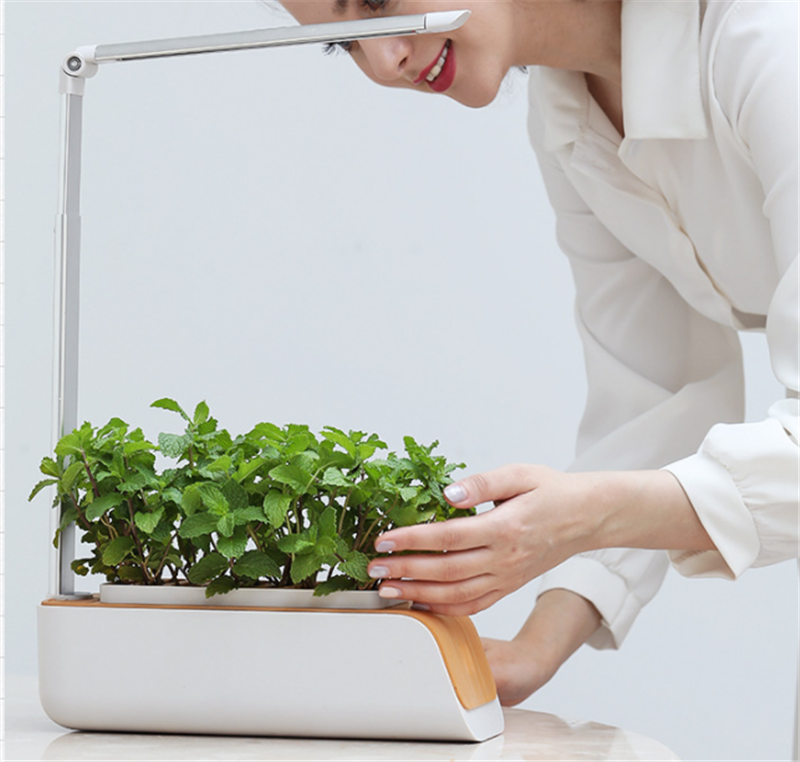 Lampe de Bureau Hydroponique Noir - Jardinez Facilement chez Vous