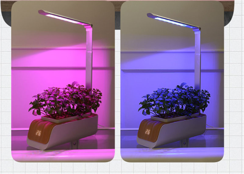 Lampe de Bureau Hydroponique : Cultivez Vos Plantes d'Intérieur en Toute Simplicité