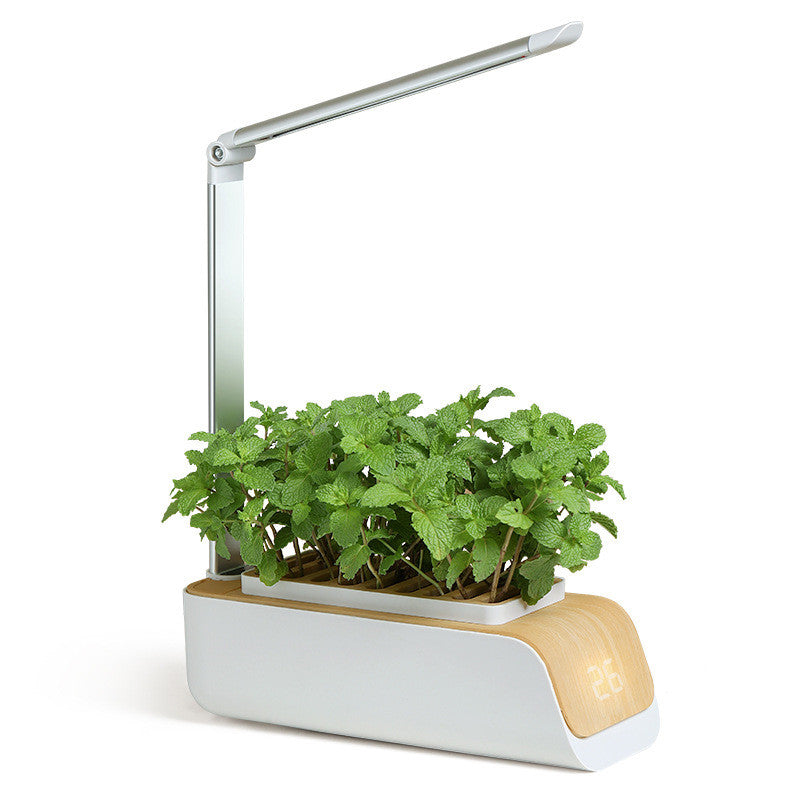 Lampe de Bureau Hydroponique : Jardinez en Intérieur avec Style - Noir