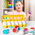 Œufs Montessori Éducatifs : Jouet Intelligent pour Développer la Curiosité