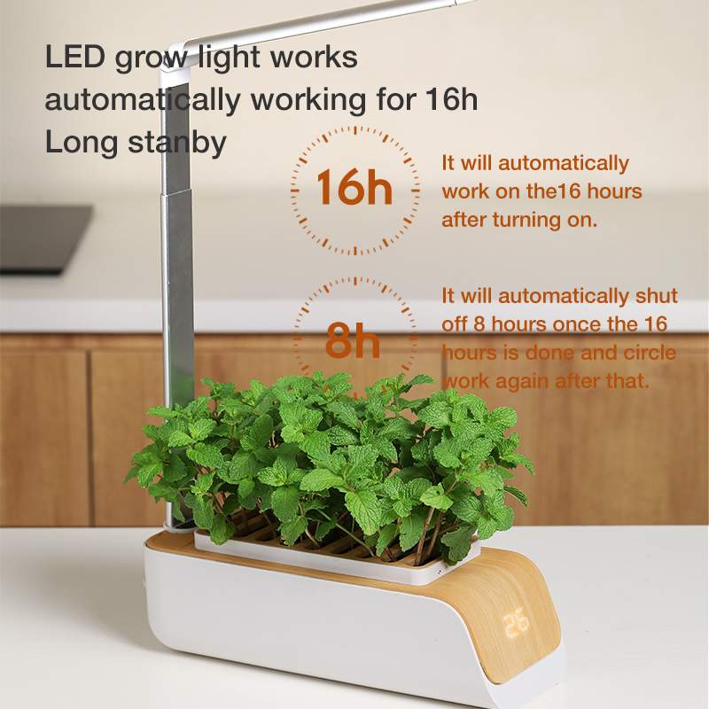 Lampe de Bureau Hydroponique Noir - Jardinez Facilement chez Vous