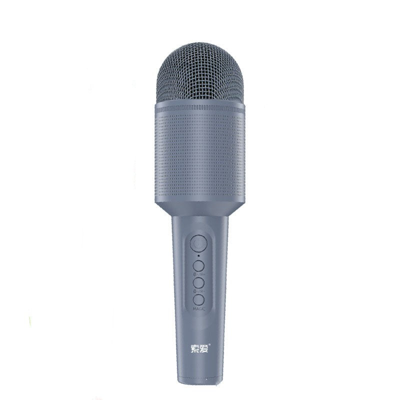 Micro Karaoke Bluetooth Sans Fil avec Enceinte - Amusez-vous en Chansons