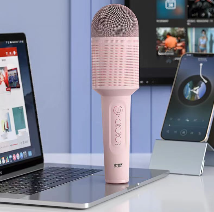 Micro Karaoke Bluetooth Sans Fil avec Enceinte - Amusez-vous en Chansons