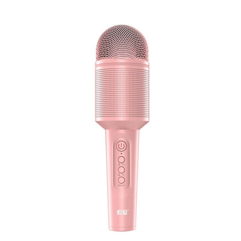 Micro Karaoke Bluetooth Sans Fil avec Enceinte - Amusez-vous en Chansons